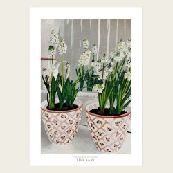 PERLEHYACINTER | ART COLLECTION