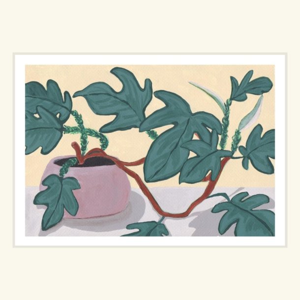 PHILODENDRON | PRINT COLLECTION