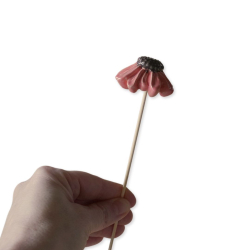 PURPURSOLHAT TIL POTTEPLANTE - MELON