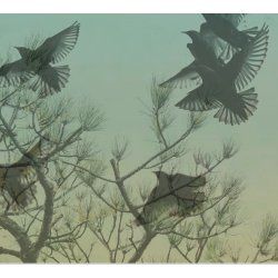 SORT SOL | AUTUMN COLLECTION - Grn