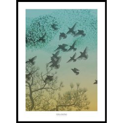 SORT SOL | AUTUMN COLLECTION - Grn