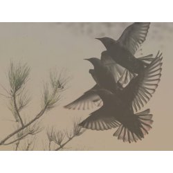 SORT SOL | AUTUMN COLLECTION - Orange