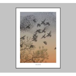 SORT SOL | AUTUMN COLLECTION - Orange