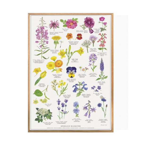 SPISELIGE BLOMSTER