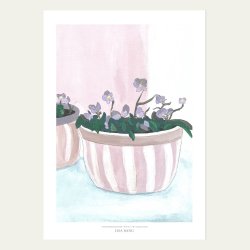 STEDMODERBLOMSTER I POTTE | ART COLLECTION