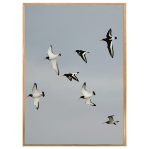 STRANDSKADER MED SMSPOVE