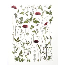 VALMUER &amp; ANDET VILDT