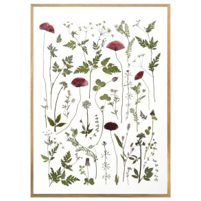 VALMUER & ANDET VILDT