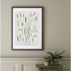 DANSKE KORNARTER OG SORTER