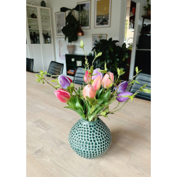 NATURTRO TULIPANER - VARM R�D (3 STK)